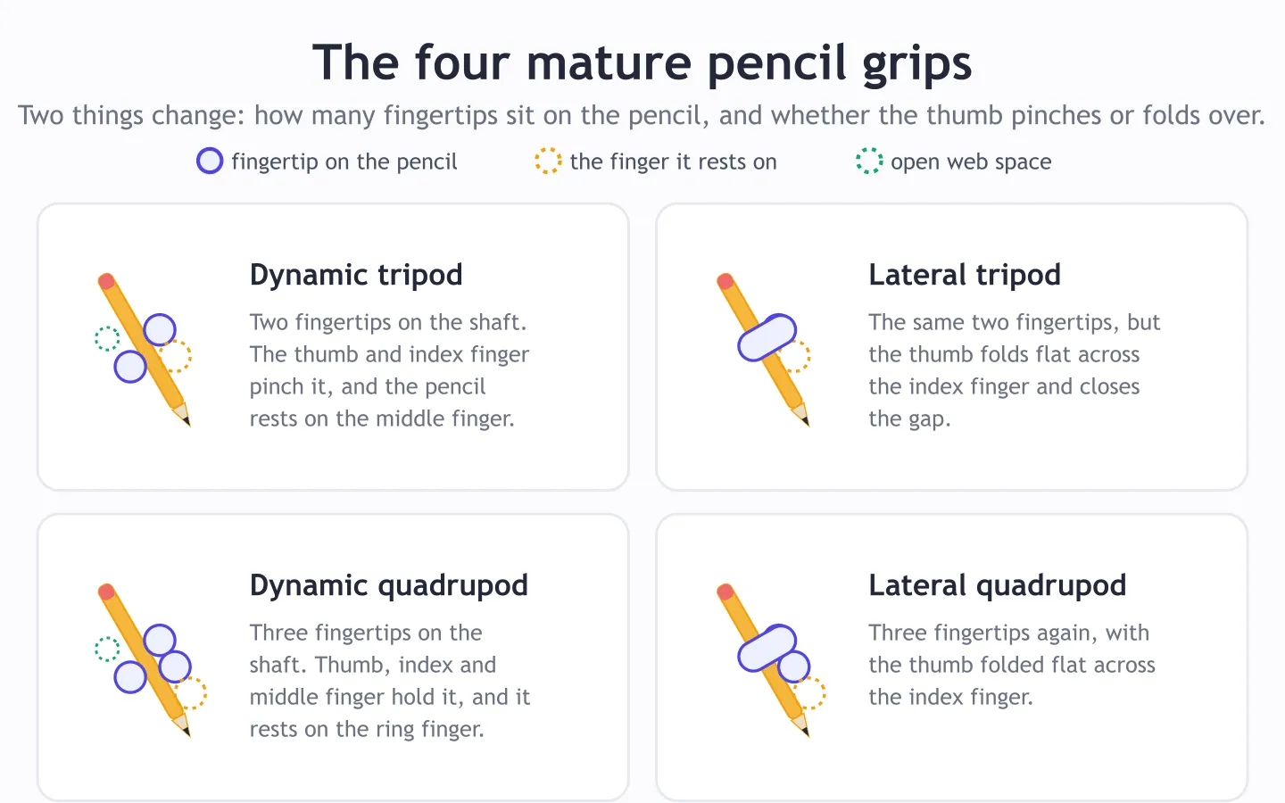 The four mature pencil grips compared: dynamic tripod with two fingertips on the pencil, lateral tripod with the thumb folded across the index finger, dynamic quadrupod with three fingertips on the pencil, and lateral quadrupod with three fingertips and the thumb folded across